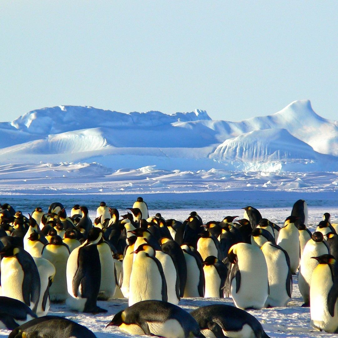 Antarctic Peninsula