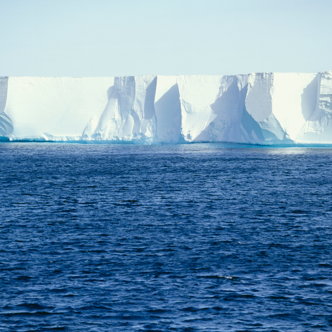 Weddell Sea & Ross Sea