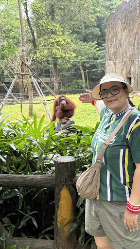 Photo from customer review