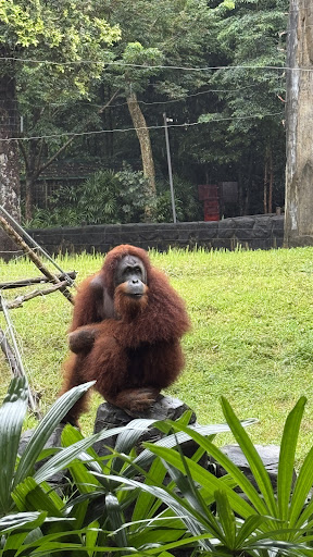 Photo from customer review