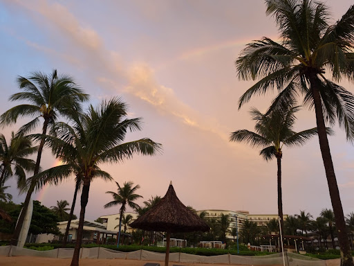 Photo from customer review