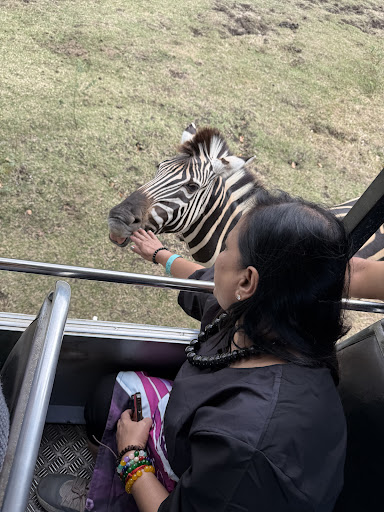 Photo from customer review