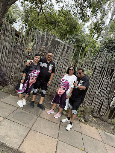 Photo from customer review